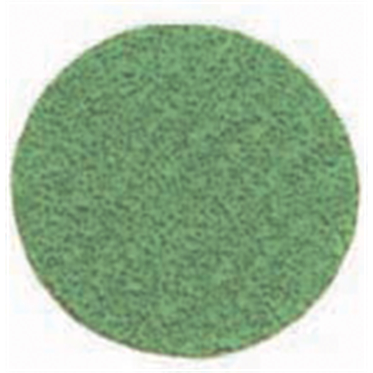 Tire Mechanic's Resource 2" Green Zirconia Abrasive Disc - 36 Grit (50/Box)